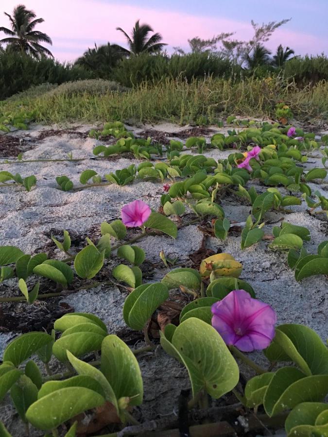 Lunarena Barefoot Hotel เอลกูโย ภายนอก รูปภาพ
